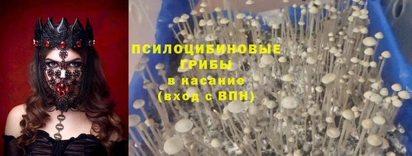 PSILOCYBIN Алексеевка